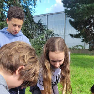 projet Mes photos pour des arbres 3