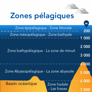 zones_pelagiques-9c309