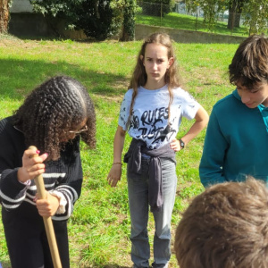 projet Mes photos pour des arbres 6
