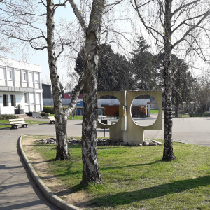 20190322_152804 (2)