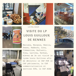 visite LP Louis Guilloux