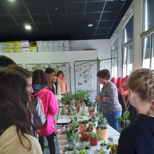 marché de printemps_11