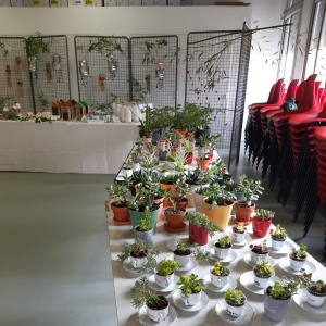 marché de printemps_4